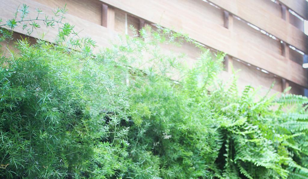 Brick Hostel Porto Alegre Exterior photo